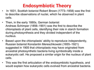 Endosymbiotic Theory
• In 1831, Scottish botanist Robert Brown (1773–1858) was the first
to describe observations of nuclei, which he observed in plant
cells.
• Then, in the early 1880s, German botanist
Andreas Schimper (1856–1901) was the first to describe the
chloroplasts of plant cells, identifying their role in starch formation
during photosynthesis and they divided independent of the
nucleus.
• Based upon the chloroplasts’ ability to reproduce independently,
Russian botanist Konstantin Mereschkowski (1855–1921)
suggested in 1905 that chloroplasts may have originated from
ancestral photosynthetic bacteria living symbiotically inside a
eukaryotic cell. He proposed a similar origin for the nucleus of plant
cells.
• This was the first articulation of the endosymbiotic hypothesis, and
would explain how eukaryotic cells evolved from ancestral bacteria.
 