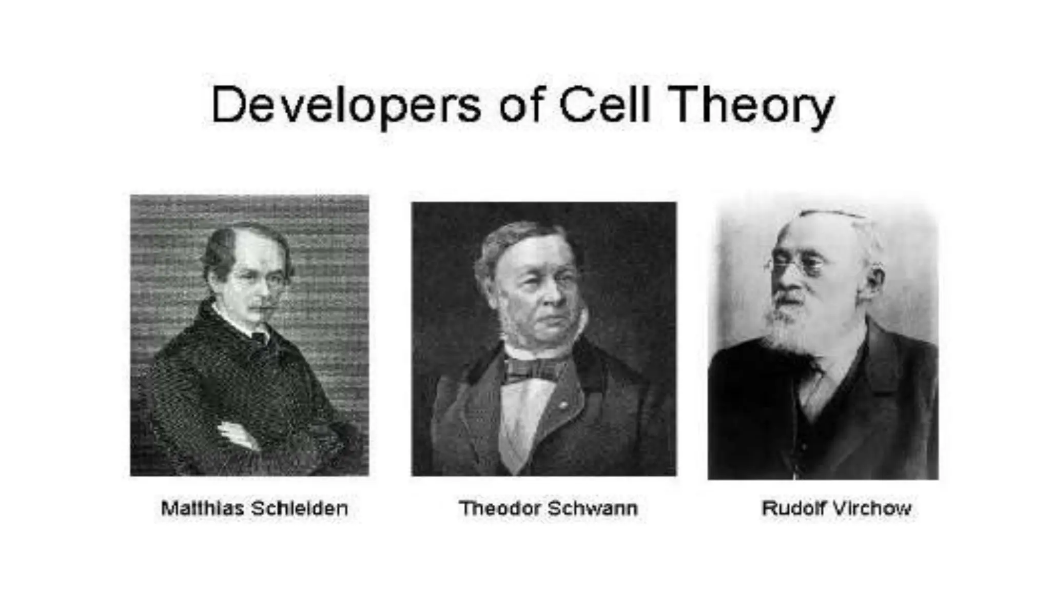Cell theory how does the cell came from? nd what are the different ...