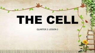 THE CELL
QUARTER 2: LESSON 2
 