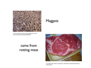 Maggots


cc licensed flickr photo by Clintus McGintus: http://
flickr.com/photos/clintus/2523629054/




              came from
             rotting meat


                                                        cc licensed flickr photo by simplerich: http://flickr.com/photos/simplerich/
                                                        1393197323/
 