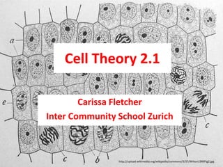 Cell Theory 2.1

        Carissa Fletcher
Inter Community School Zurich



                http://upload.wikimedia.org/wikipedia/commons/3/37/Wilson1900Fig2.jpg
 