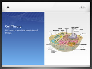 Cell Theory and Cell Basics 2014