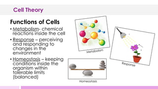 Cell_theory_and_Cell_Introduction.pptx