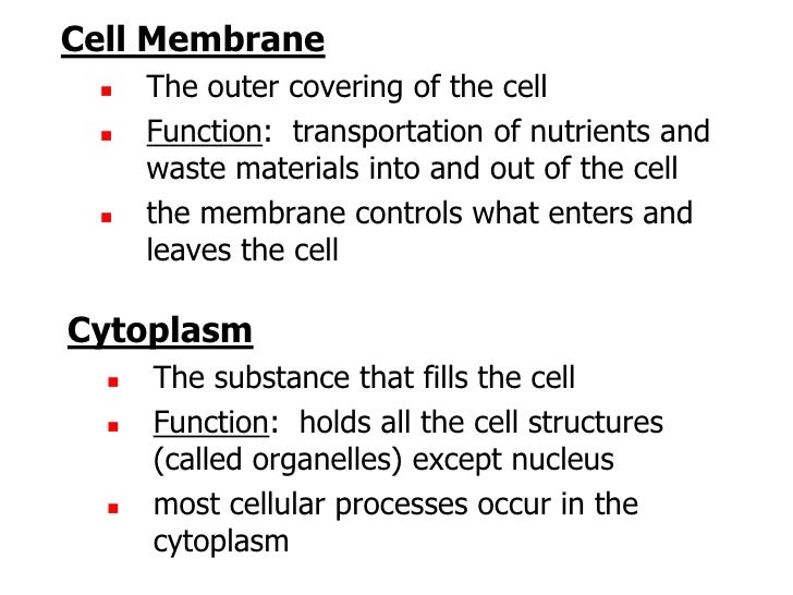Cell theory and organelles r1