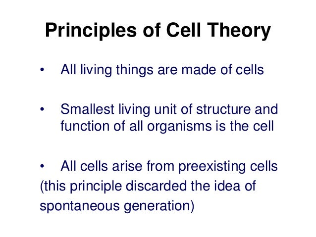 Cell theory and structure ppt