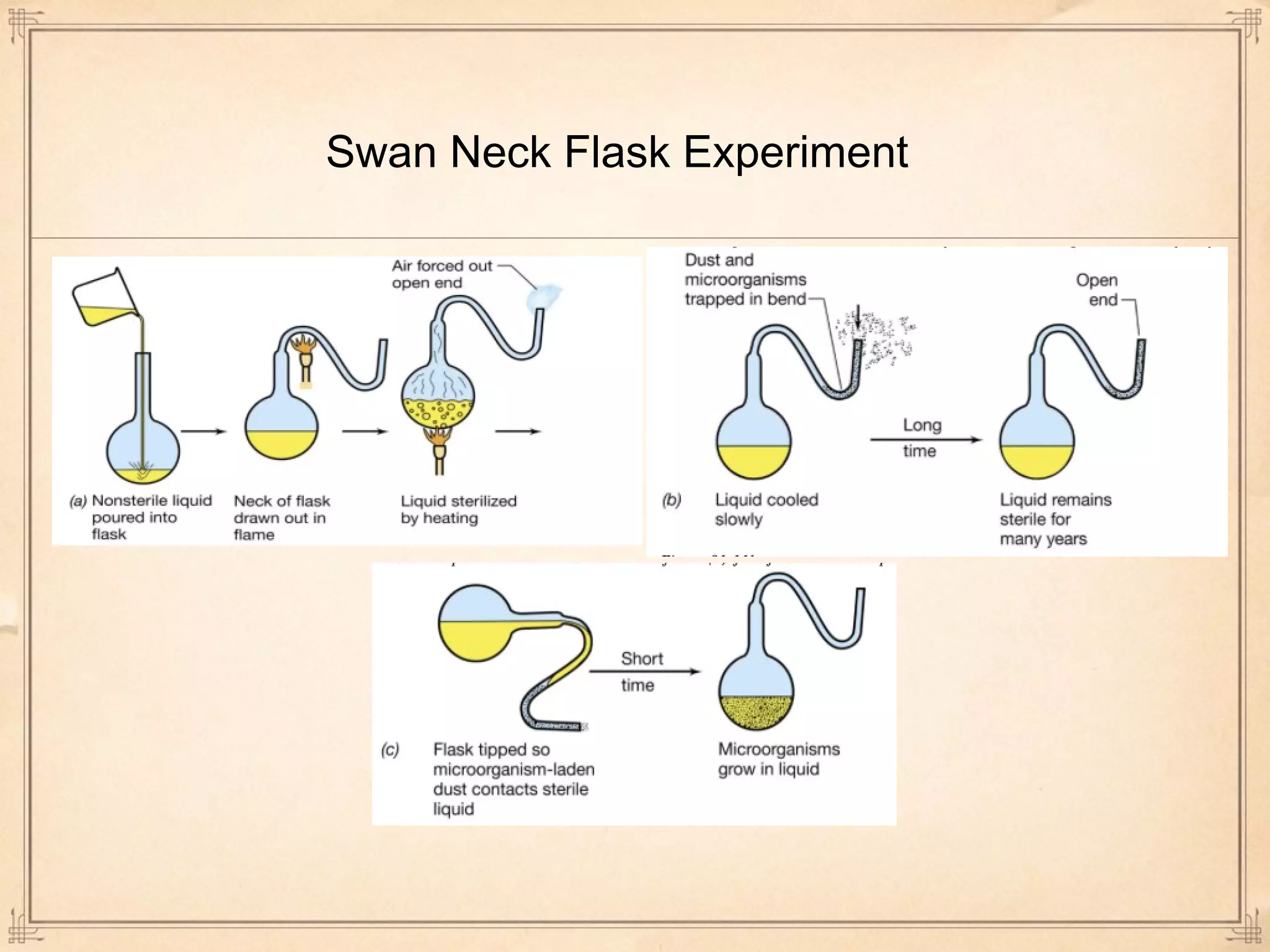 Swan Neck Flask Experiment 
 