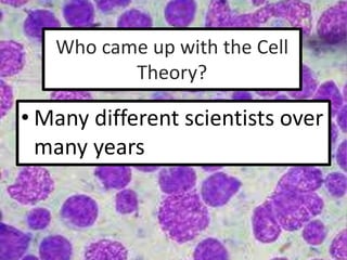 Who came up with the Cell
Theory?
• Many different scientists over
many years
 