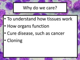 Why do we care?
• To understand how tissues work
• How organs function
• Cure disease, such as cancer
• Cloning
 