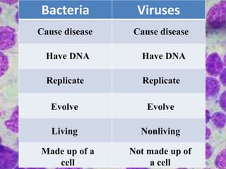 Bacteria Viruses
Cause disease Cause disease
Have DNA Have DNA
Replicate Replicate
Evolve Evolve
Living Nonliving
Made up of a
cell
Not made up of
a cell
 