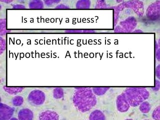 Is a theory a guess?
No, a scientific guess is a
hypothesis. A theory is fact.
 