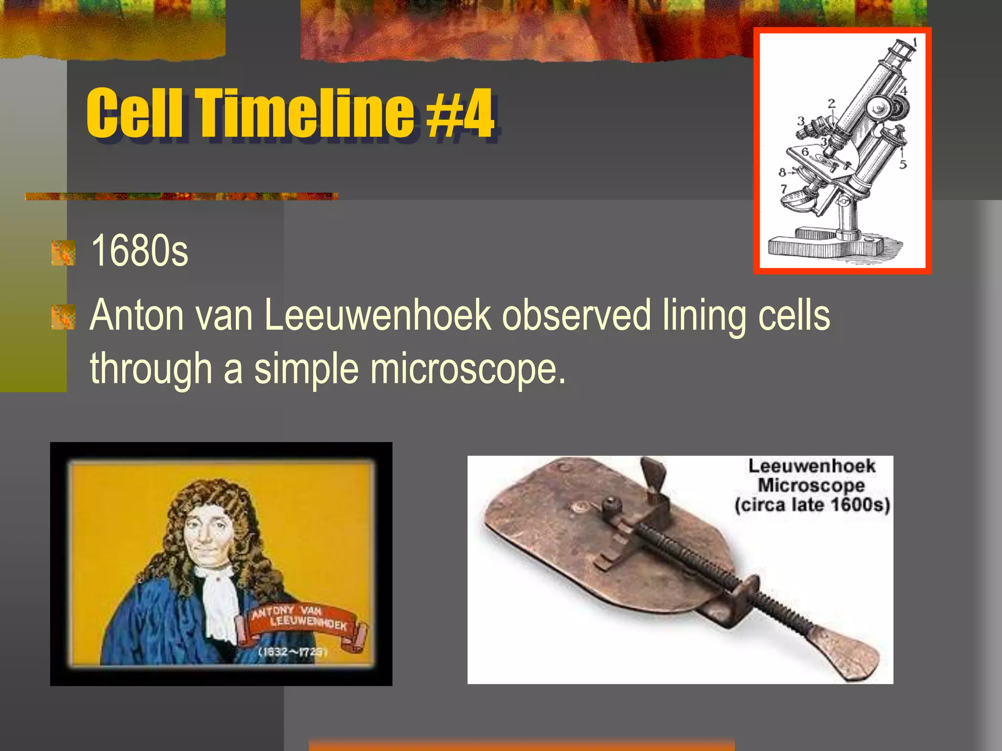 CellTheoryTimeline.ppt