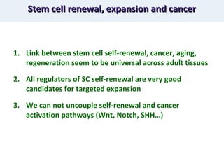 Stem cell renewal, expansion and cancer  Link between stem cell self-renewal, cancer, aging, regeneration seem to be universal across adult tissues All regulators of SC self-renewal are very good candidates for targeted expansion We can not uncouple self-renewal and cancer activation pathways (Wnt, Notch, SHH…) 