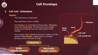 cell the unit of life. . | PDF