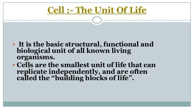 The Smallest Unit Of Life Is Called Cell :the unit of life