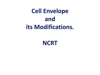 Cell Envelope
and
its Modifications.
NCRT
 