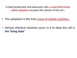 Cell the unit of life ncert  introduction to prokaryotic cells