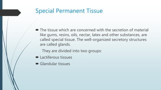 Special Permanent Tissue
 The tissue which are concerned with the secretion of material
like gums, resins, oils, nectar, latex and other substances, are
called special tissue. The well-organized secretory structures
are called glands.
They are divided into two groups:
 Lactiferous tissues
 Glandular tissues
 
