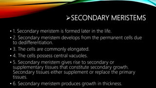 SECONDARY MERISTEMS
• 1. Secondary meristem is formed later in the life.
• 2. Secondary meristem develops from the permanent cells due
to dedifferentiation.
• 3. The cells are commonly elongated.
• 4. The cells possess central vacuoles.
• 5. Secondary meristem gives rise to secondary or
supplementary tissues that constitute secondary growth.
Secondary tissues either supplement or replace the primary
tissues.
• 6. Secondary meristem produces growth in thickness.
 