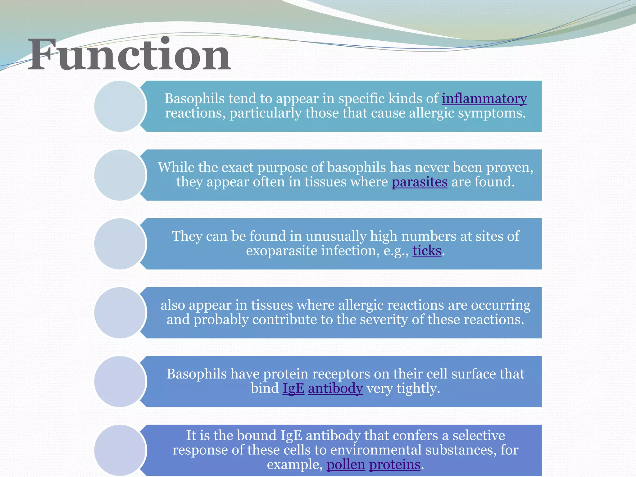 Function
Basophils tend to appear in specific kinds of inflammatory
reactions, particularly those that cause allergic symptoms.
While the exact purpose of basophils has never been proven,
they appear often in tissues where parasites are found.
They can be found in unusually high numbers at sites of
exoparasite infection, e.g., ticks.
also appear in tissues where allergic reactions are occurring
and probably contribute to the severity of these reactions.
Basophils have protein receptors on their cell surface that
bind IgE antibody very tightly.
It is the bound IgE antibody that confers a selective
response of these cells to environmental substances, for
example, pollen proteins.
 