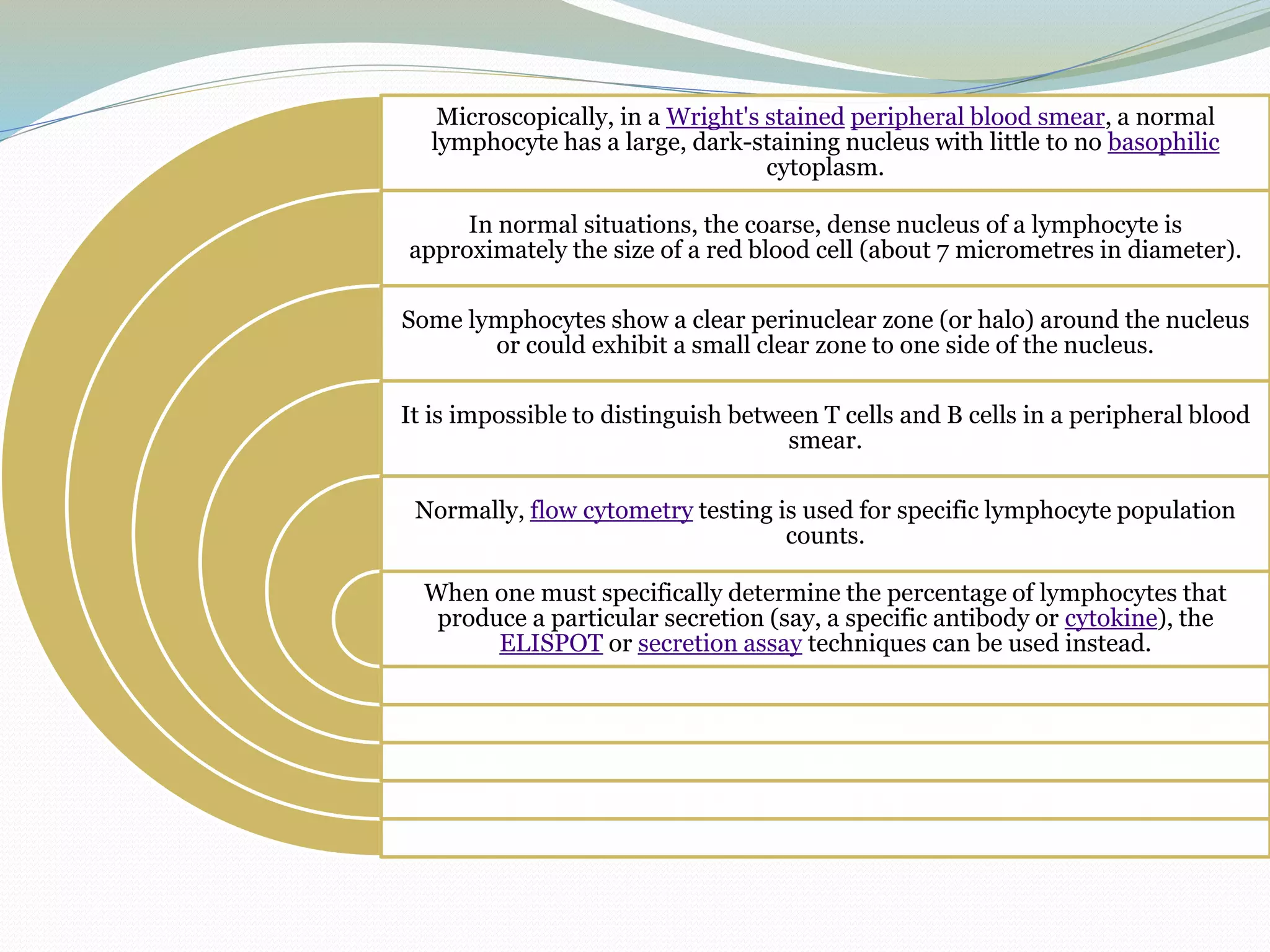 Microscopically, in a Wright's stained peripheral blood smear, a normal
lymphocyte has a large, dark-staining nucleus with little to no basophilic
cytoplasm.
In normal situations, the coarse, dense nucleus of a lymphocyte is
approximately the size of a red blood cell (about 7 micrometres in diameter).
Some lymphocytes show a clear perinuclear zone (or halo) around the nucleus
or could exhibit a small clear zone to one side of the nucleus.
It is impossible to distinguish between T cells and B cells in a peripheral blood
smear.
Normally, flow cytometry testing is used for specific lymphocyte population
counts.
When one must specifically determine the percentage of lymphocytes that
produce a particular secretion (say, a specific antibody or cytokine), the
ELISPOT or secretion assay techniques can be used instead.
 