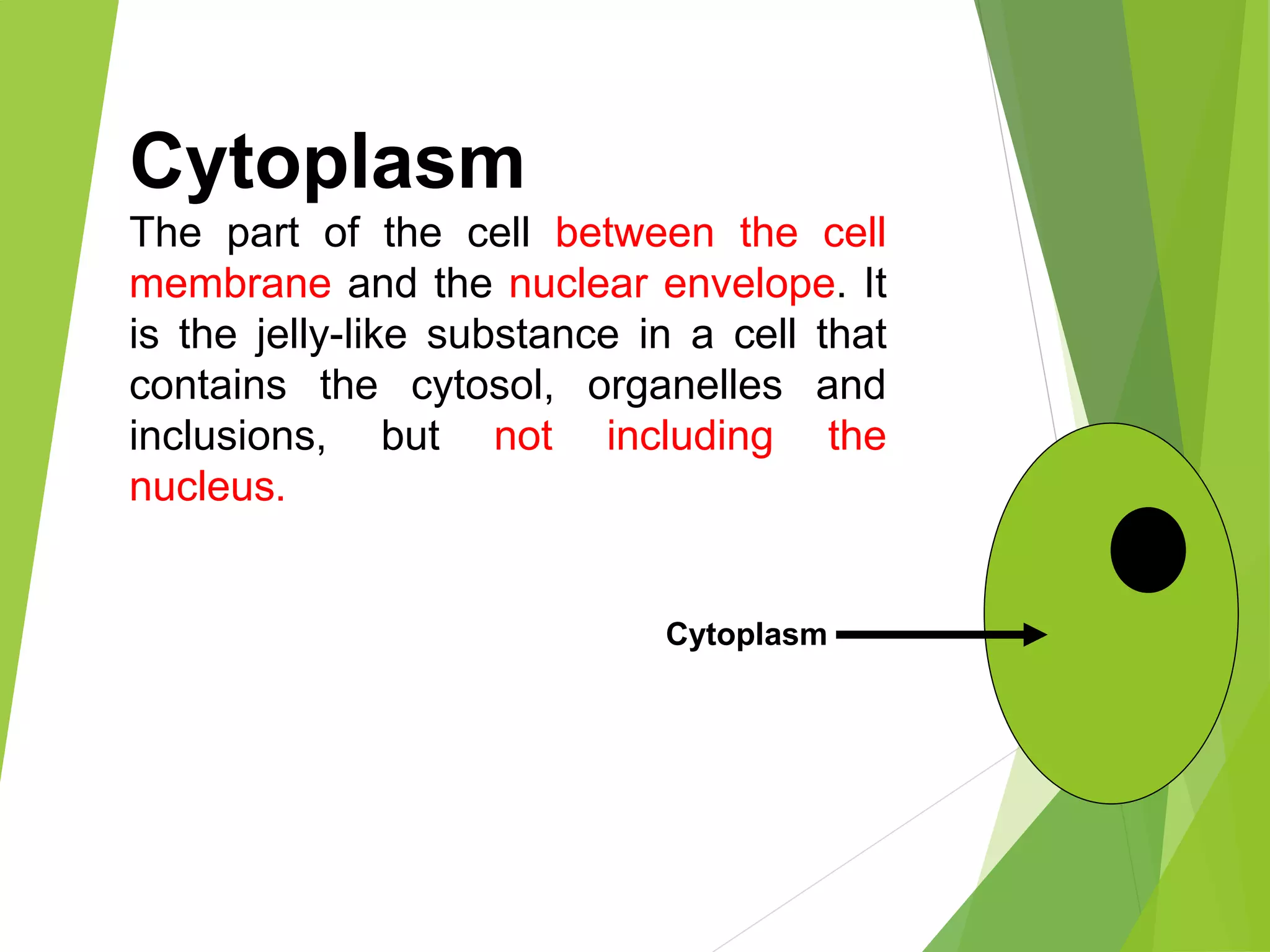 Basics of Body Cell | PPT