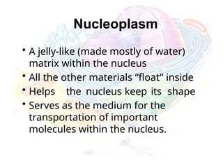 Nucleoplasm
• A jelly-like (made mostly of water)
matrix within the nucleus
• All the other materials “float” inside
• Helps the nucleus keep its shape
• Serves as the medium for the
transportation of important
molecules within the nucleus.
 