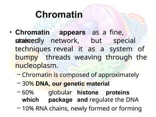 Chromatin
• Chromatin appears as a fine,
unevenly
stained network, but special
techniques reveal it as a system of
bumpy threads weaving through the
nucleoplasm.
– Chromatin is composed of approximately
– 30% DNA, our genetic material
– 60% globular histone proteins
which package and regulate the DNA
– 10% RNA chains, newly formed or forming
 
