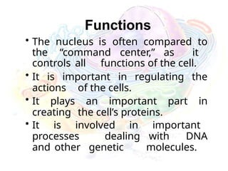 Functions
• The nucleus is often compared to
the “command center,” as it
controls all functions of the cell.
• It is important in regulating the
actions of the cells.
• It plays an important part in
creating the cell’s proteins.
• It is involved in important
processes dealing with DNA
and other genetic molecules.
 