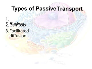 Types of PassiveTransport
1.
Diffusion
2.Osmosis
3.Facilitated
diffusion
 