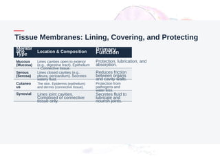 Tissue Membranes: Lining, Covering, and Protecting
Membr
ane
Type
Location & Composition Primary
Function
Mucous
(Mucosa)
Lines cavities open to exterior
(e.g., digestive tract). Epithelium
+ Connective tissue.
Protection, lubrication, and
absorption.
Serous
(Serosa)
Lines closed cavities (e.g.,
pleura, pericardium). Secretes
watery fluid.
Reduces friction
between organs
and cavity walls.
Cutaneo
us
The skin. Epidermis (epithelium)
and dermis (connective tissue).
Protection from
pathogens and
water loss.
Synovial Lines joint cavities.
Composed of connective
tissue only.
Secretes fluid to
lubricate and
nourish joints.
 