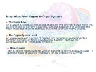 Integration: From Organs to Organ Systems
The Organ Level
An organ is a structure composed of at least two different tissue types that
work together to perform a specific, complex function. For example, the
heart integrates muscle, nervous, epithelial, and connective tissues.
The Organ System Level
An organ system is a group of organs that cooperate to accomplish a
common purpose or major physiological function, such as the
Cardiovascular or Respiratory systems.
Homeostasis
The 11 major organ systems work in concert to maintain homeostasis—a
dynamic state of balance necessary for the organism's survival.
 