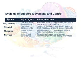 Systems of Support, Movement, and Control
System Major Organs Primary Function
Integumentary Skin, Hair, Nails,
Sweat Glands
Encloses internal body structures; site of
many sensory receptors.
Skeletal Cartilage,
Bones, Joints
Supports the body; enables movement
(with muscular system); stores minerals.
Muscular Skeletal Muscles,
Tendons
Enables movement (with skeletal system);
helps maintain body temperature.
Nervous Brain, Spinal
Cord, Nerves
Detects and processes sensory
information; activates bodily responses.
 