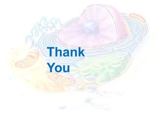 Thank
You
 