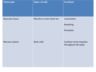 Tissue type Types of cells Functions
Muscular tissue
Nervous system
Muscles in arms heart etc
Brain cells
Locomotion
Breathing
Peristalsis
Conduct nerve impulses
throughout the body
 