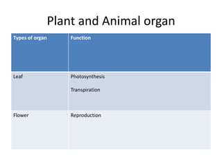 Plant and Animal organ
Types of organ Function
Leaf Photosynthesis
Transpiration
Flower Reproduction
 