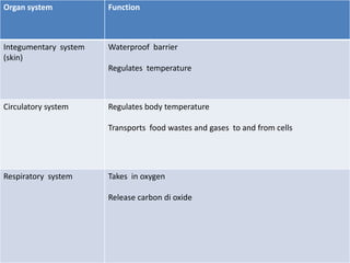 Organ system Function
Integumentary system
(skin)
Waterproof barrier
Regulates temperature
Circulatory system Regulates body temperature
Transports food wastes and gases to and from cells
Respiratory system Takes in oxygen
Release carbon di oxide
 