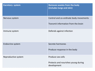 Excretory system Removes wastes from the body
(includes lungs and skin)
Nervous system Control and co-ordinate body movements
Transmit information from the brain
Immune system Defends against infection
Endocrine system Secrete hormones
Produce response in the body
Reproductive system Produce sex cells
Protects and nourishes young during
development
 