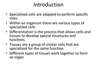 Introduction
• Specialized cells are adapted to perform specific
roles
• Within an organism there are various types of
specialized cells
• Differentiation is the process that allows cells and
tissues to develop special structures and
functions
• Tissues are a group of similar cells that are
specialized for the same function
• Different types of tissues work together to form
an organ
 