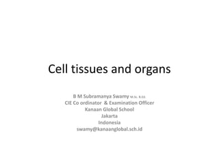 Cell tissues and organs
B M Subramanya Swamy M.Sc. B.Ed.
CIE Co ordinator & Examination Officer
Kanaan Global School
Jakarta
Indonesia
swamy@kanaanglobal.sch.id
 