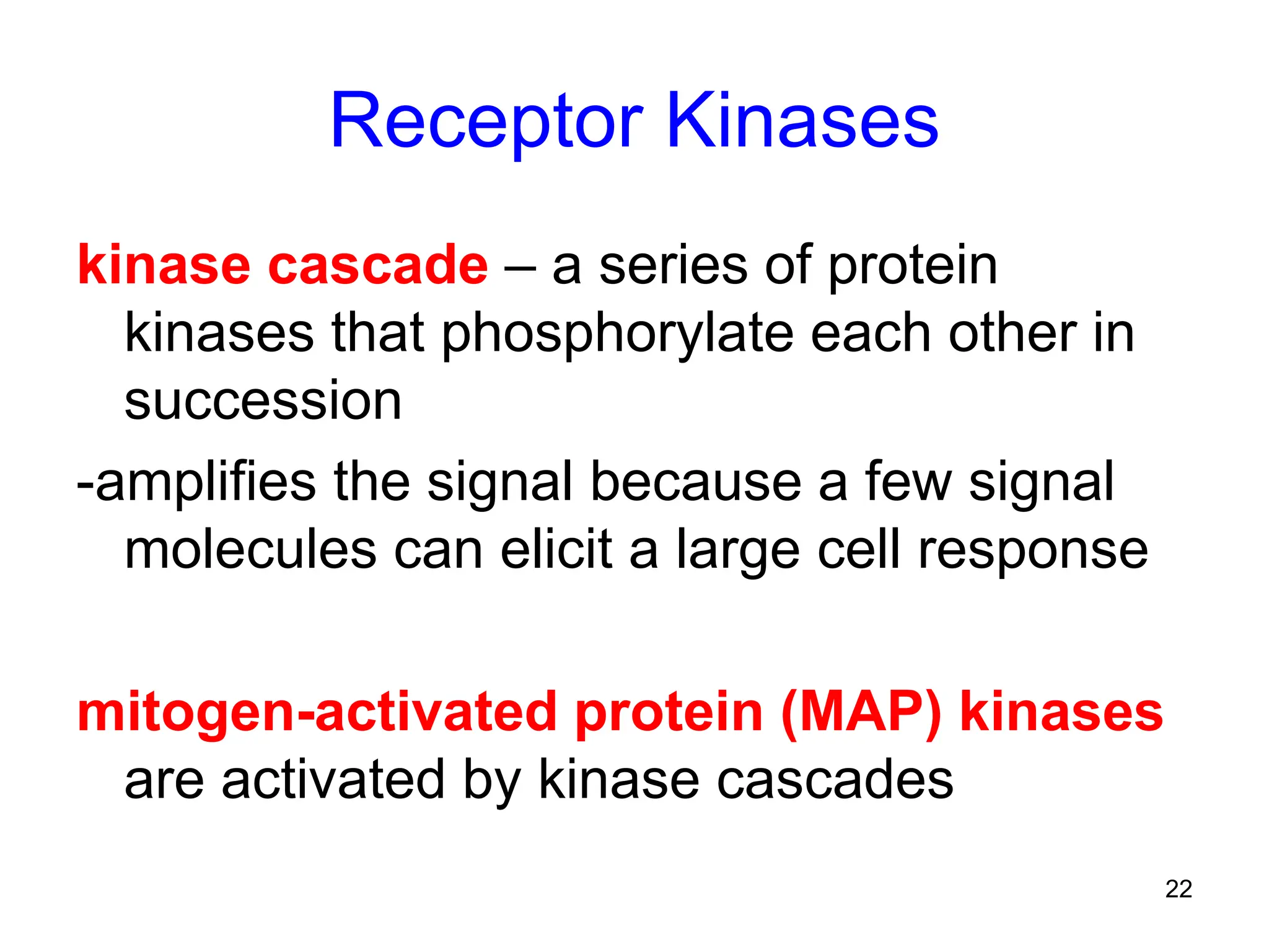 22
Receptor Kinases
kinase cascade – a series of protein
kinases that phosphorylate each other in
succession
-amplifies the signal because a few signal
molecules can elicit a large cell response
mitogen-activated protein (MAP) kinases
are activated by kinase cascades
 