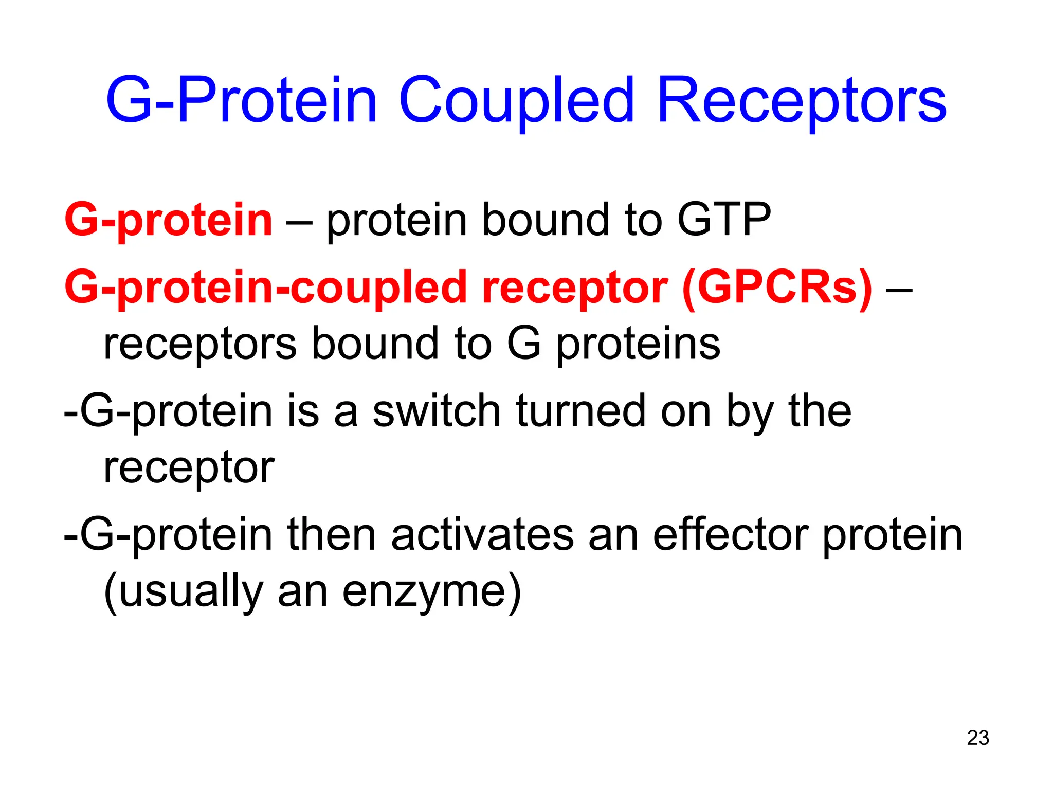23
G-Protein Coupled Receptors
G-protein – protein bound to GTP
G-protein-coupled receptor (GPCRs) –
receptors bound to G proteins
-G-protein is a switch turned on by the
receptor
-G-protein then activates an effector protein
(usually an enzyme)
 