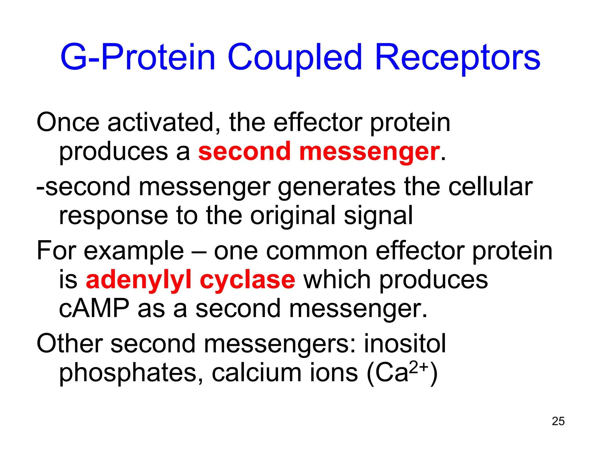 25
G-Protein Coupled Receptors
Once activated, the effector protein
produces a second messenger.
-second messenger generates the cellular
response to the original signal
For example – one common effector protein
is adenylyl cyclase which produces
cAMP as a second messenger.
Other second messengers: inositol
phosphates, calcium ions (Ca2+)
 
