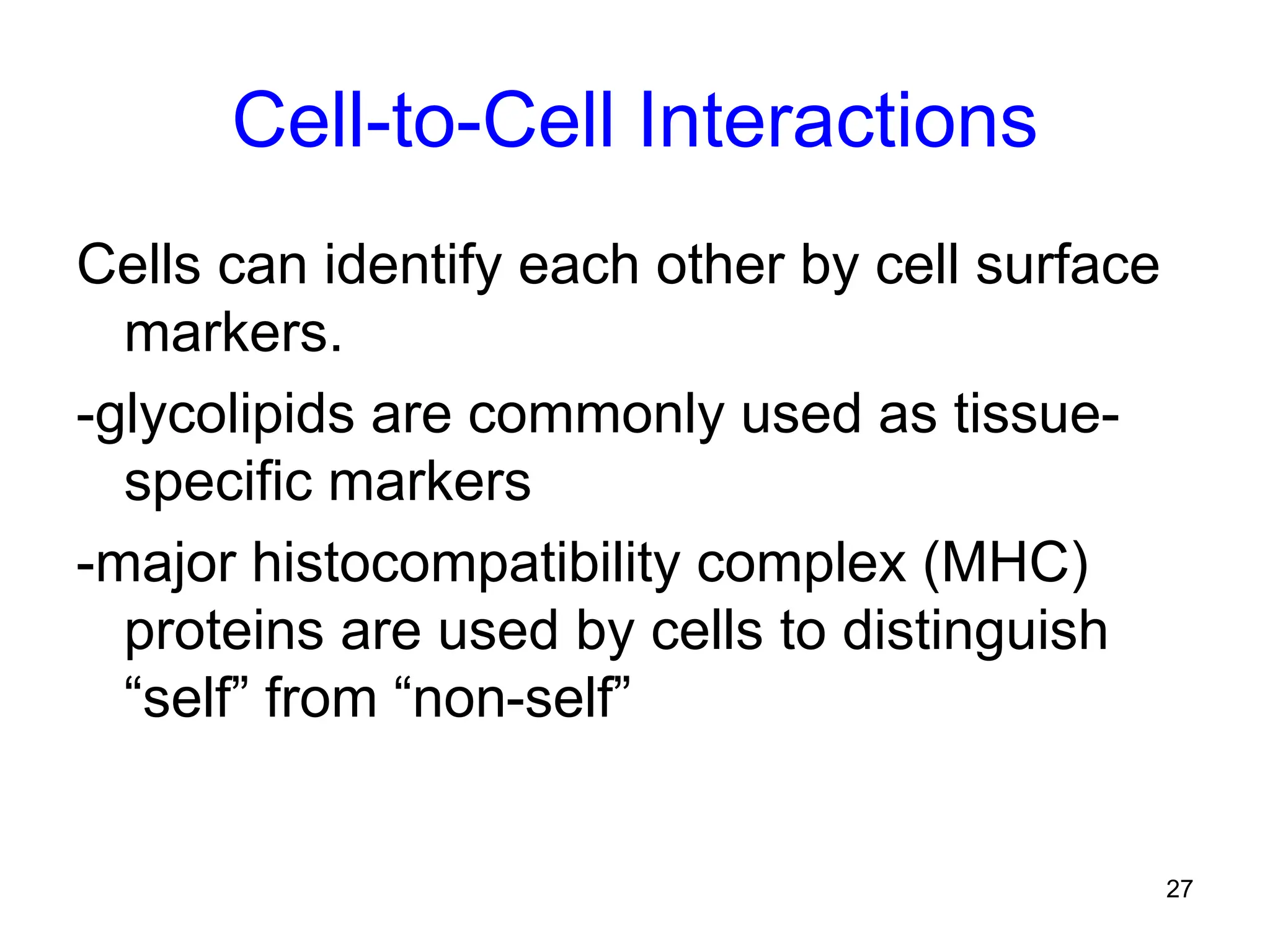 27
Cell-to-Cell Interactions
Cells can identify each other by cell surface
markers.
-glycolipids are commonly used as tissue-
specific markers
-major histocompatibility complex (MHC)
proteins are used by cells to distinguish
“self” from “non-self”
 