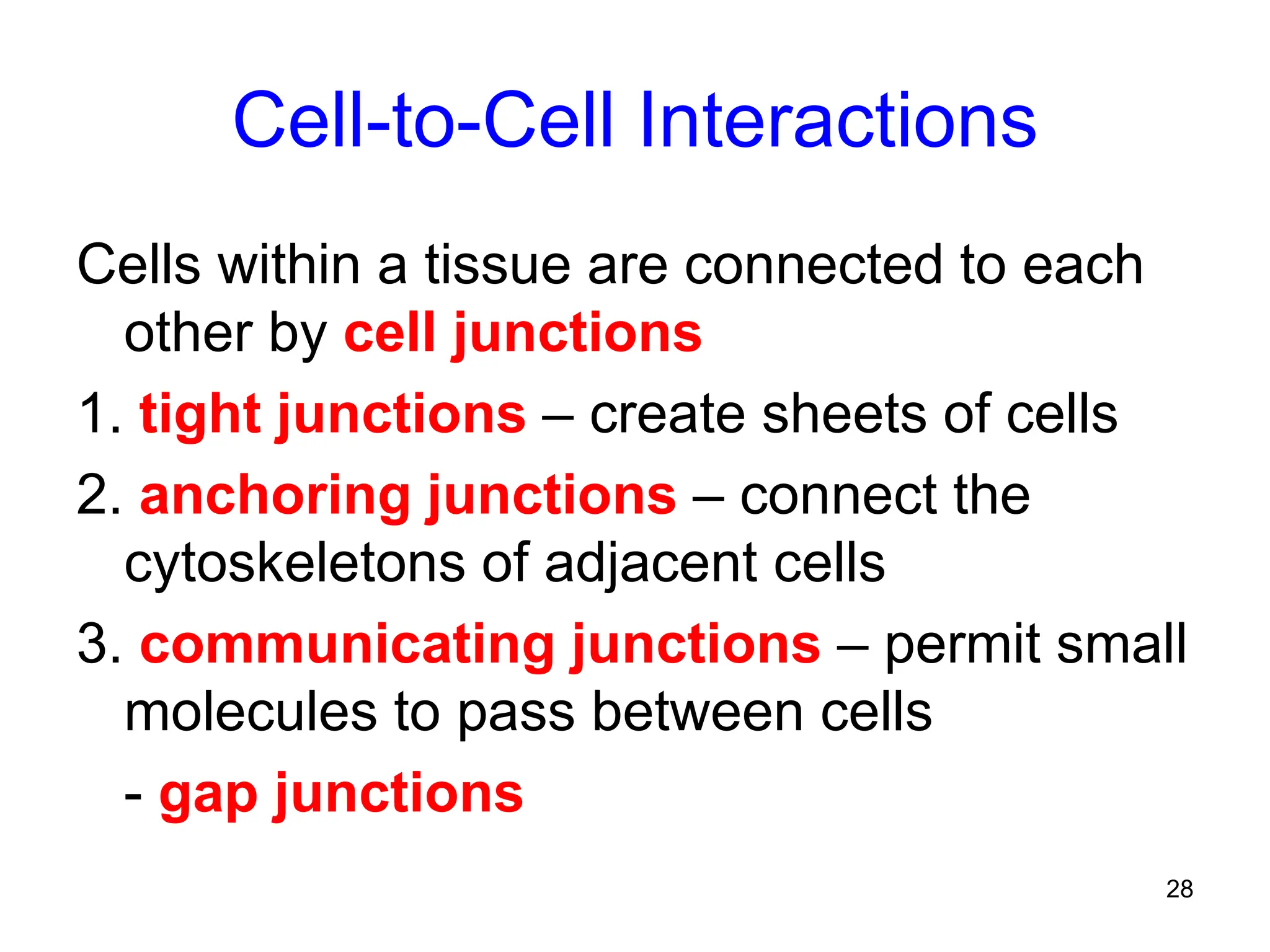 28
Cell-to-Cell Interactions
Cells within a tissue are connected to each
other by cell junctions
1. tight junctions – create sheets of cells
2. anchoring junctions – connect the
cytoskeletons of adjacent cells
3. communicating junctions – permit small
molecules to pass between cells
- gap junctions
 
