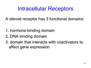 17
Intracellular Receptors
A steroid receptor has 3 functional domains:
1. hormone-binding domain
2. DNA binding domain
3. domain that interacts with coactivators to
affect gene expression
 