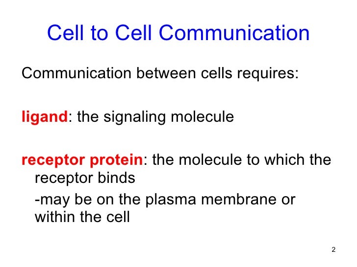 Cell to cell communication