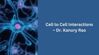 Cell to Cell Interactions
– Dr. Kanury Rao
 