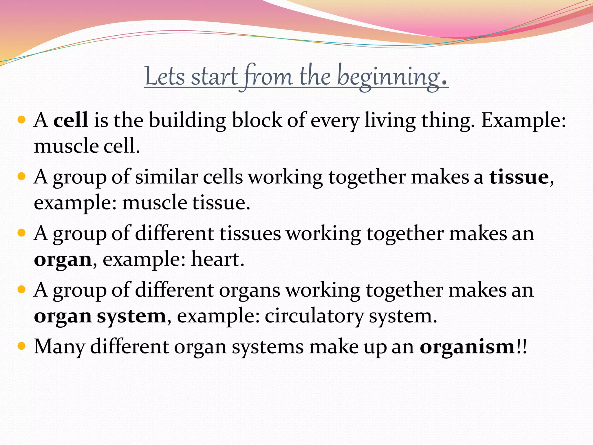 Lets start from the beginning.
 A cell is the building block of every living thing. Example:
muscle cell.
 A group of similar cells working together makes a tissue,
example: muscle tissue.
 A group of different tissues working together makes an
organ, example: heart.
 A group of different organs working together makes an
organ system, example: circulatory system.
 Many different organ systems make up an organism!!
 