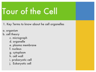 Tour of the Cell 1. Key Terms to know about he cell organelles ,[object Object],[object Object],[object Object],[object Object],[object Object],[object Object],[object Object],[object Object],[object Object],[object Object]