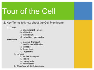 Tour of the Cell
2. Key Terms to know about the Cell Membrane
  1. Terms:
              a.   phospholipid layers
              b.   diffusion
              c.   equilibrium
              d.   selectively permeable
  membrane
               e. passive transport
               f. facilitated diffusion
               g. osmosis
               h. hypertonic
               i. hypotonic
        j. isotonic
               k. active transport
               l. vesicle
               m. exocytosis
               n. endocytosis
        2. Structure of Cell Membrane
 